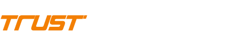 Trust Infotech Electronics LLC